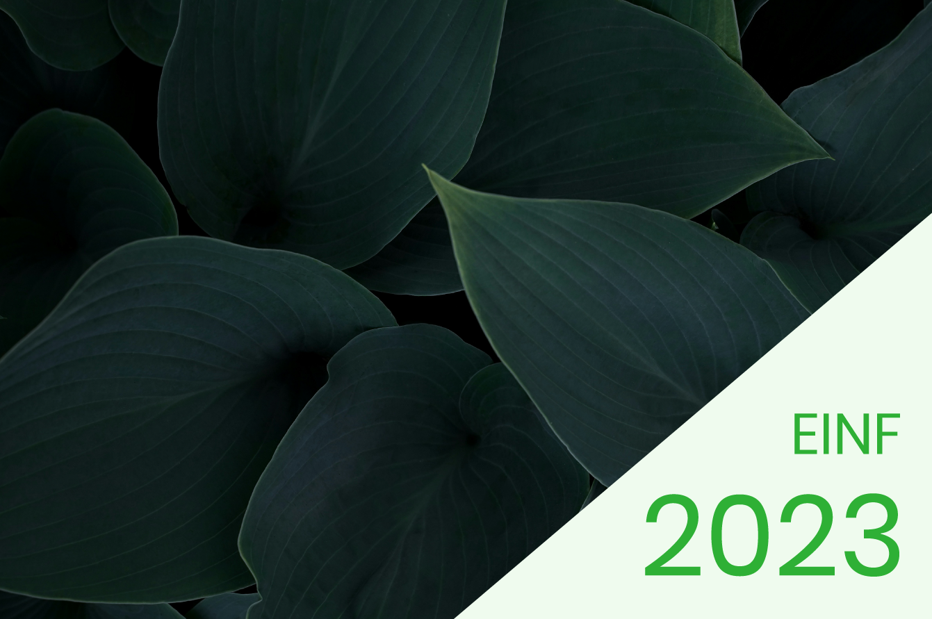 EINF 2023