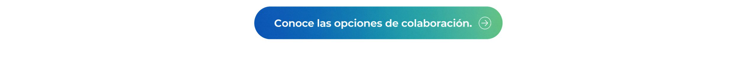 banner-conoce